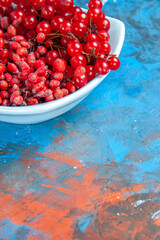 bottom half view currants and barberries in white plate on blue red background free space