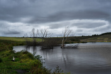 Evening water landscapes with beautiful clouds.