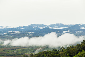 Khao Khai Nui, Sea of fog in the winter mornings at sunrise, New landmark to see beautiful scenery at Thailand.