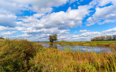 Fototapeta premium Summer landscape with cloudy sky.
