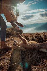 Girl with a dog play in the mountains. Autumn mood. Traveling with a pet.Woman and her dog posing outdoor.