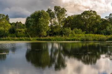 Fototapeta premium The beauty of forest landscapes with a river.