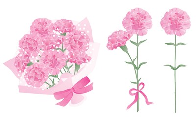 Obraz premium 母の日のピンクのカーネーションの花束や一輪と二輪のセット