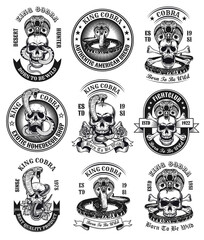 King cobra emblems set. Monochrome design elements with human skulls, snake and text. Gothic or horror concept for labels, stamps, tattoo templates