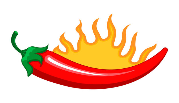 Red chilly peppers are burning as spicy sign. Cartoon vector isolated on the white background. Hot chillies in fire for food logo, banner, flyer