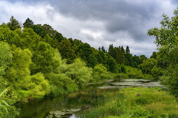 Obraz premium The beauty of forest landscapes with a river.