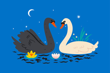 Postcard with swans on the pond. Vector graphics.