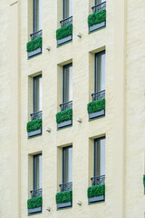 Fototapeta na wymiar closeup of some plant in window, architecture detail