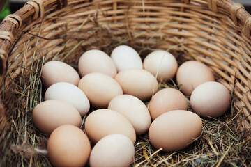 Natural farm chicken eggs in a basket close-up. Shallow depth of field