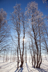  Short winter day in the Arctic