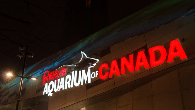 Logo of the Ripley's Aquarium, Toronto, Canada