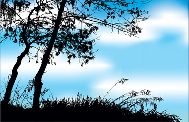 Silhouette of trees by the lake. Vector drawing