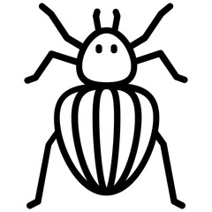 Colorado beetle 
