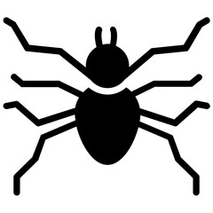 Cellar spider 