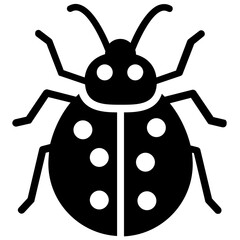 Ladybug 