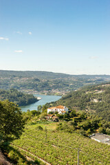 Fototapeta na wymiar Beautiful landscapes of Douro river Valley, Porto, Portugal