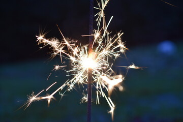 New Year's Eve celebration sparkler in a garden