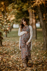 Lovely pregnant woman enjoying autumn in the park