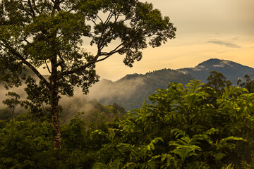 Khao Khai Nui, Sea of fog in the winter mornings at sunrise, New landmark to see beautiful scenery at Thailand.