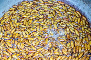 Insect food deep-fried from Thailand Asia