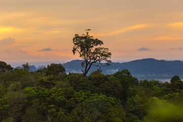Fototapeta na wymiar The magical sunset with tree.
