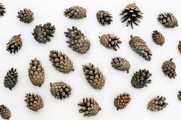 Pinecones on white snow. Fir cones on a winter background