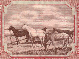 Konie na banknocie 100 złotych z datą 15 lipca 1947									
