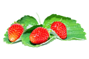 Strawberry isolated on white background..