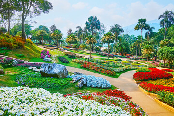 Design of perennial garden in Mae Fah Luang, Doi Tung, Thailand - obrazy, fototapety, plakaty