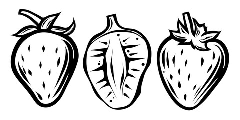 Three strawberries, monochrome hand drawn vector