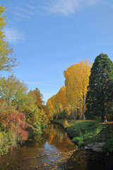 Obraz premium Herbst am Bach