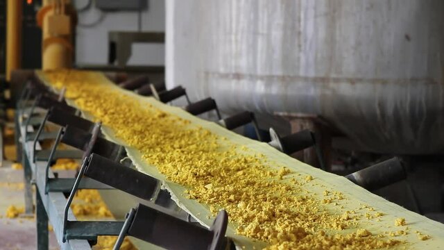 Industrial production of corn starch in food processing plant. Corn starch on a conveyor belt