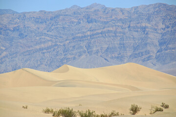 Fototapeta na wymiar sand dunes in front of mountains in death valley