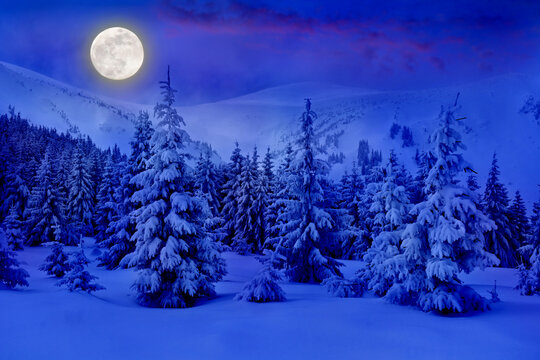 Full Moon rising above the winter fir forest covered of snow in mountains. Christmas night. Landscape winter