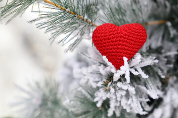 Christmas heart, red knitted symbol of love in the snow on fir branches. Background for romantic card, New Year celebration, Valentine's day or winter weather