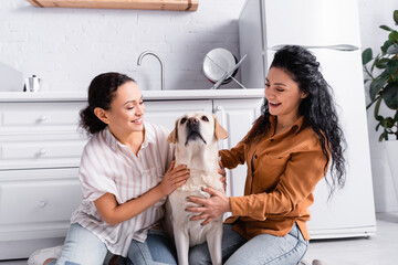 excited hispanic lesbian women hugging labrador dog on floor in kitchen