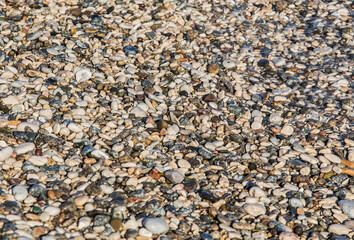 Colored wet pebbles on the seashore