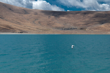 boat on the sea