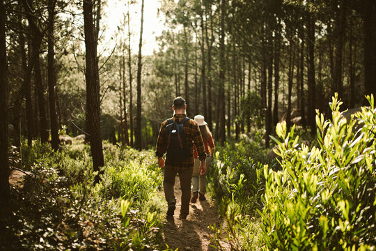 Couple hiking through the woods on sunny day together 