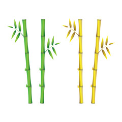 Bamboo Tree Icon Design Illustration