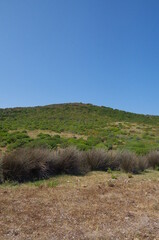 Gradazioni di colore della natura