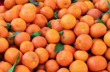 A group of oranges and mandarins of various sizes, photographed at the city market.