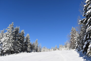 The recreation area in winter, Sainte-Apolline