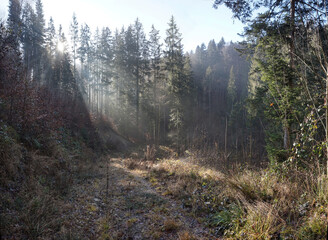 Corona-Spaziergänge