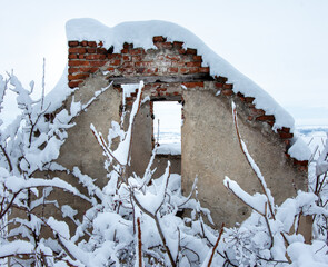 Winter walk into forest 