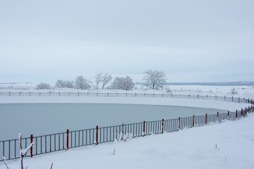 Winter walk into forest 