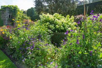 Fototapeta na wymiar Flowers in the garden filling the lush borders