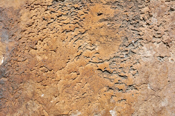 Textured stone, sandstone, limestone surface. Close image. Stone, natural abstract texture for backgrounds. Close up.  architecture.