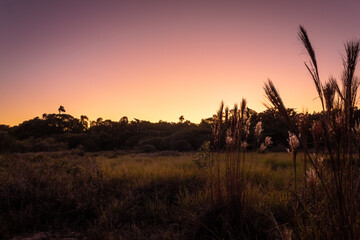 Obraz premium natureza