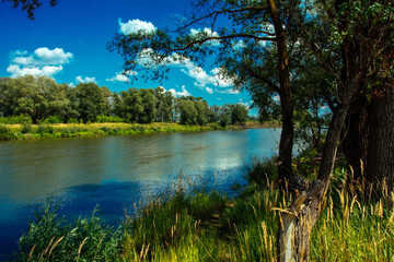 Fototapeta premium landscape, nature, river, forest, sky, blue, beauty, world around